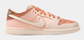 Nike SB Dunk Low Pro Premium Skate Shoes – Trocadéro Gardens